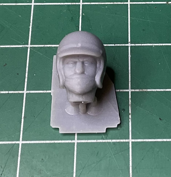 Fahrerkopf George Follmer