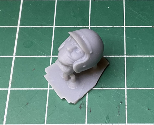 Fahrerkopf George Follmer